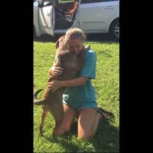 Meet your Posher, Stormie